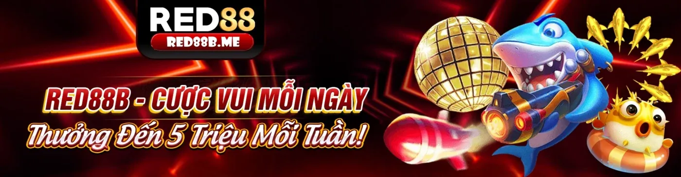 Hình ảnh chính casino mn live